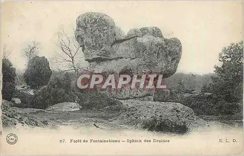 Ansichtskarte AK Foret de fontainebleau sphinx des druides