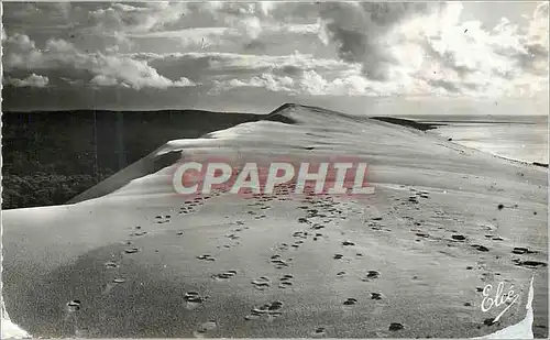 Cartes postales moderne Bassin d arcachon (gironde) le pyla la grande dune (la plus haute d europe 115m la foret l ocean