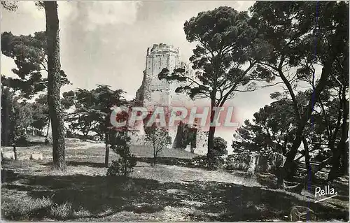 Cartes postales moderne Nimes (gard) la tour magne