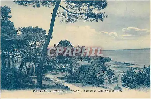Cartes postales Saint brevin l ocean vue de la cote prise du fort