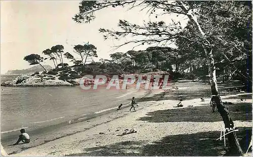 Cartes postales moderne Cote d azur 1598 iles de porquerolles la plage d argent