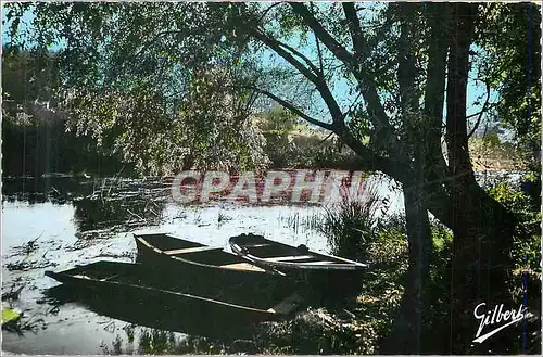 Cartes postales moderne Paysage des bords de la charente