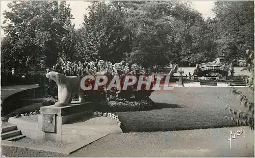 Cartes postales moderne Dijon (cote d or) square darcy Ours