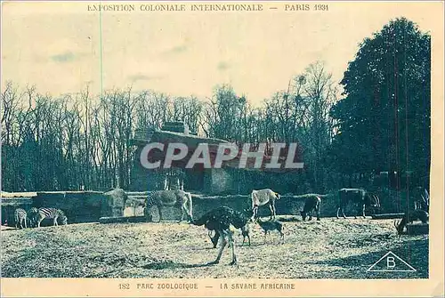Cartes postales Exposition coloniale internationale paris 1931 182 parc zoologique la savane africaine Zebre Aut