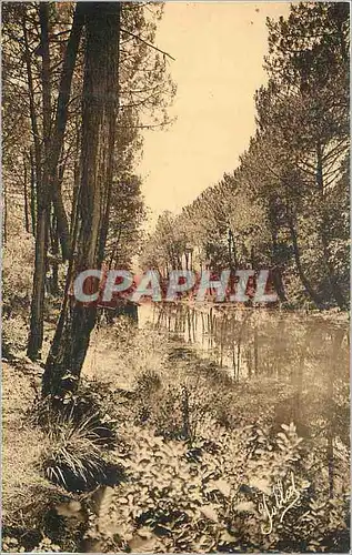 Cartes postales Cazaux (gironde) bord du canal