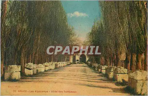 Ansichtskarte AK Arles les alyscamps allee des tombeaux