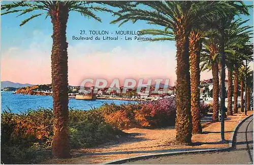 Cartes postales Toulon mourillon boulevard du littoral les palmiers