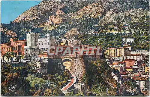 Cartes postales Monaco le palais du prince