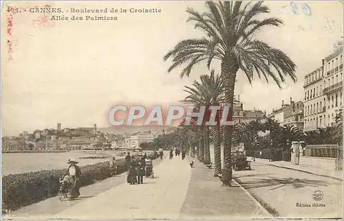 Ansichtskarte AK Cannes boulevard de la croisette allee des palmiers