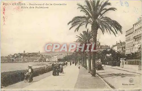 Cartes postales Cannes boulevard de la croisette allee des palmiers