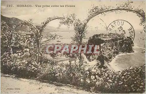 Cartes postales Monaco vue prise entre les fleurs