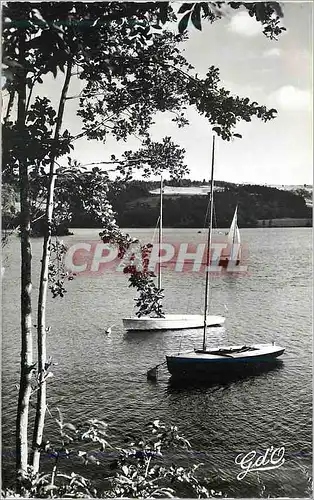 Cartes postales moderne L auvergne lac d aydat tours les sports nautiques le lac dans son cadre de verdure