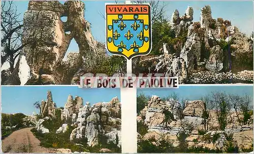 Cartes postales moderne Le bois de paiolive (ardeche)