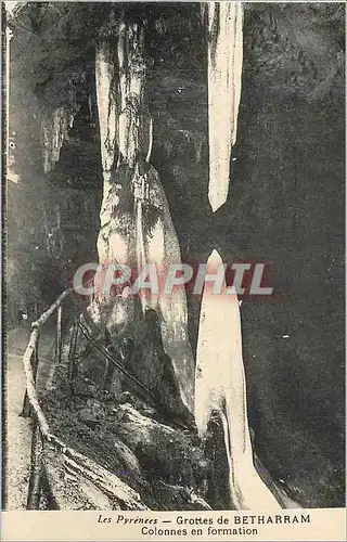 Cartes postales Les pyrenees grottes de betharram colonnes en formation
