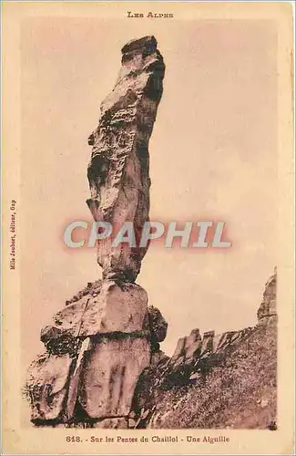 Cartes postales Les alpes 818 sur les pentes du chaillot une aiguille