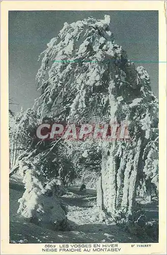 Cartes postales Les vosges en hiver neige fraiche au montabey