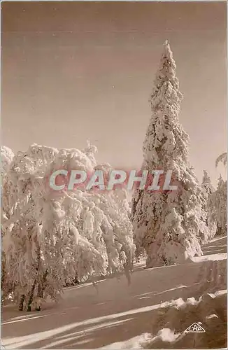 Cartes postales moderne Hautes vosges la schlucht effet de neige
