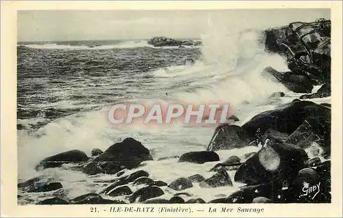 Moderne Karte Ile de batz (finistere) la mer sauvage