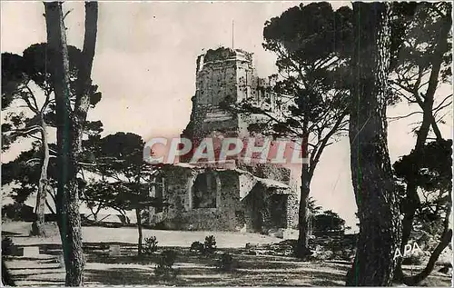 Cartes postales moderne Nimes (gard) la tour magne