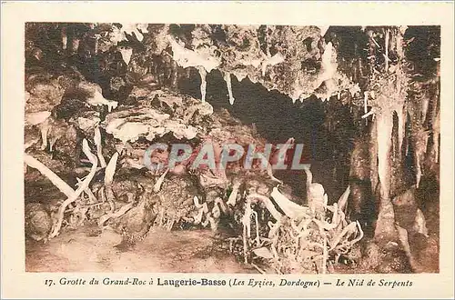 Ansichtskarte AK Grotte du grand roc a laugerie basse (les eyzies dordogne) le nid de serpents