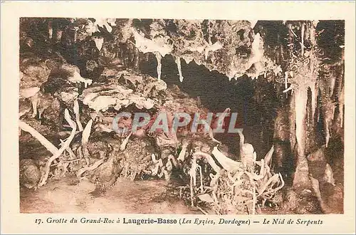 Cartes postales Grotte du grand roc a laugerie basse (les eyzies dordogne) le nid de serpents