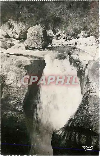 Cartes postales moderne Le saut du loup