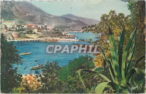 Cartes postales La douce france cote d azur monte carlo (principaute de monaco) la ville vue des jardins de mona