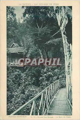 Ansichtskarte AK La savoie les gorges du fier