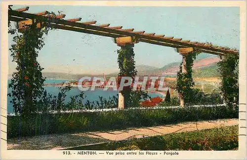 Ansichtskarte AK Menton vue prise entre les fleurs pergola