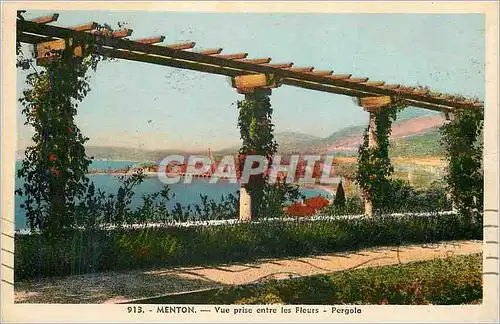 Cartes postales Menton vue prise entre les fleurs pergola