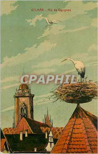 Cartes postales Colmar nid de cigognes