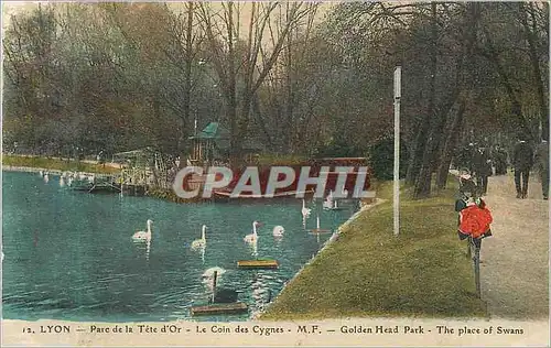 Cartes postales Lyon parc de la tete d or le coin des cygnes