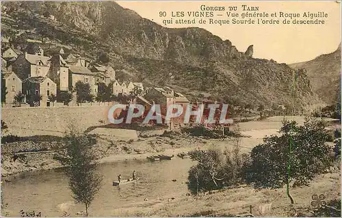 Cartes postales Gorges du tarn 90 les vignes vue generale et roque aiguille