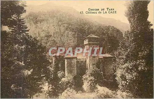 Cartes postales Gorges du tarn 43 chateau de la caze
