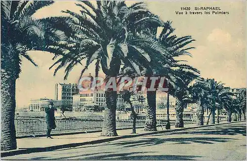 Cartes postales St Raphael Vue a travers les Palmiers