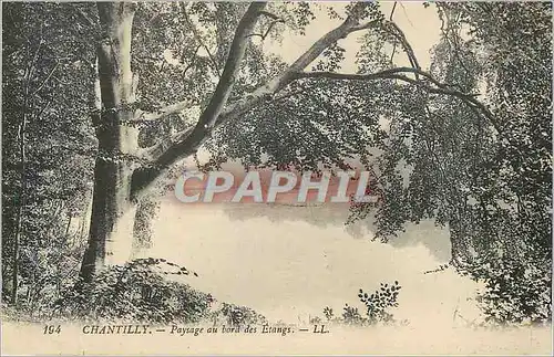 Cartes postales Chantilly Paysage au Bord des Etangs