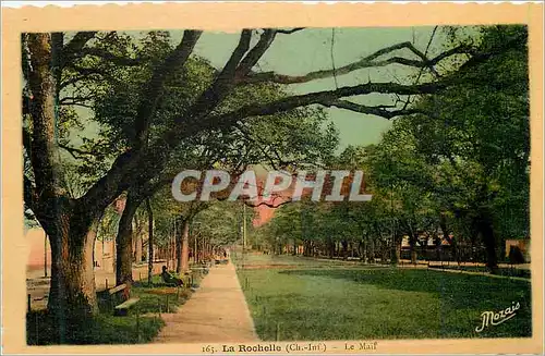 Cartes postales moderne La Rochelle (Ch Inf) Le Maif