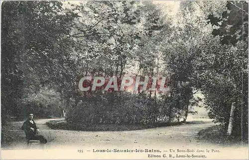 Ansichtskarte AK Lons le Saunier les Bains Un Sous Bois dans le Parc