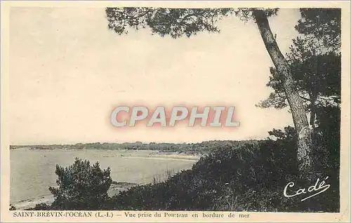 Cartes postales Saint Brevin L'Ocean (L I) Vue prise du Pointeau en Bordure de Mer