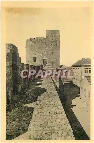 Cartes postales moderne Aigues Mortes Porte de la Marine et Chemin de Ronde