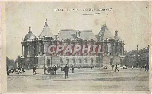 Cartes postales Lille Le Palais des Beaux Arts
