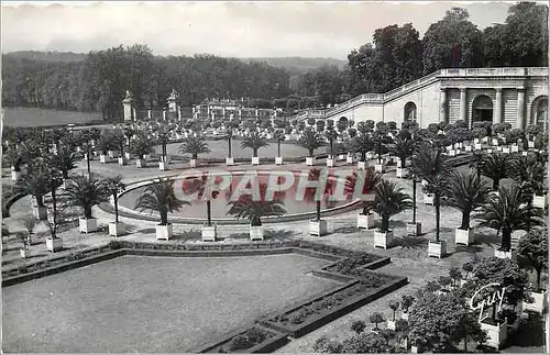 Cartes postales moderne Versailles et ses Merveilles Les Jardins du Chateau L'Orangerie et son Bassin