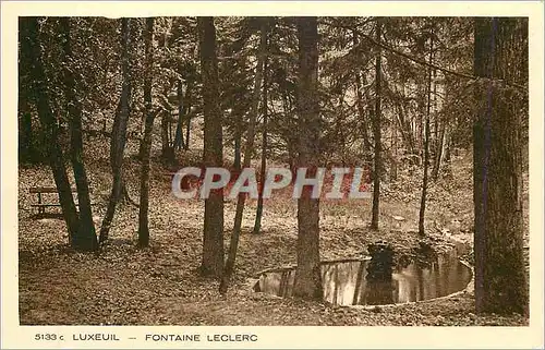 Cartes postales Luxeuil Fontaine Leclerc