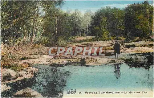 Ansichtskarte AK Foret de Fontainebleau La Mare aux Fees