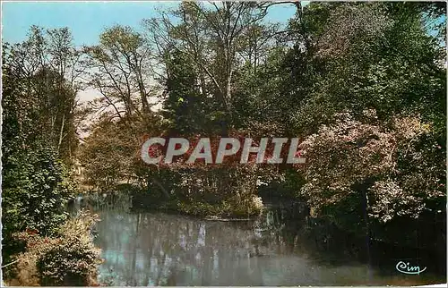 Cartes postales moderne Yerres (S et O) Bords de l'Yerres