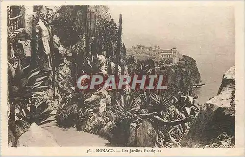 Cartes postales Monaco Les Jardins Exotiques