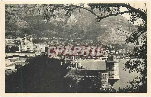 Ansichtskarte AK Monte Carlo Cote d'Azur Artistique Entre les Arbres