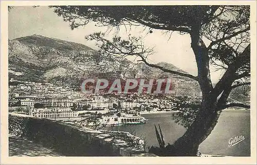 Cartes postales Monte Carlo Cote d'Azur Artistique Vue Generale