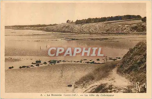 Ansichtskarte AK La Bernerie (Loire Inf) La Cote de Crevecoeur