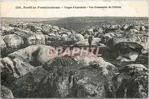 Cartes postales Foret de Fontainebleau Gorges d'Apremont Vue d'Ensemble du Plateu